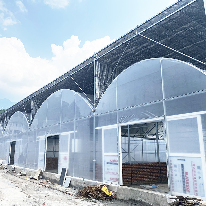 Tăng khả năng chống tia cực tím 30x10m Nhà kính phim nhựa cho cà chua và rau quả với lớp phủ phim