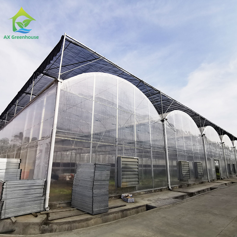 Tăng khả năng chống tia cực tím 30x10m Nhà kính phim nhựa cho cà chua và rau quả với lớp phủ phim