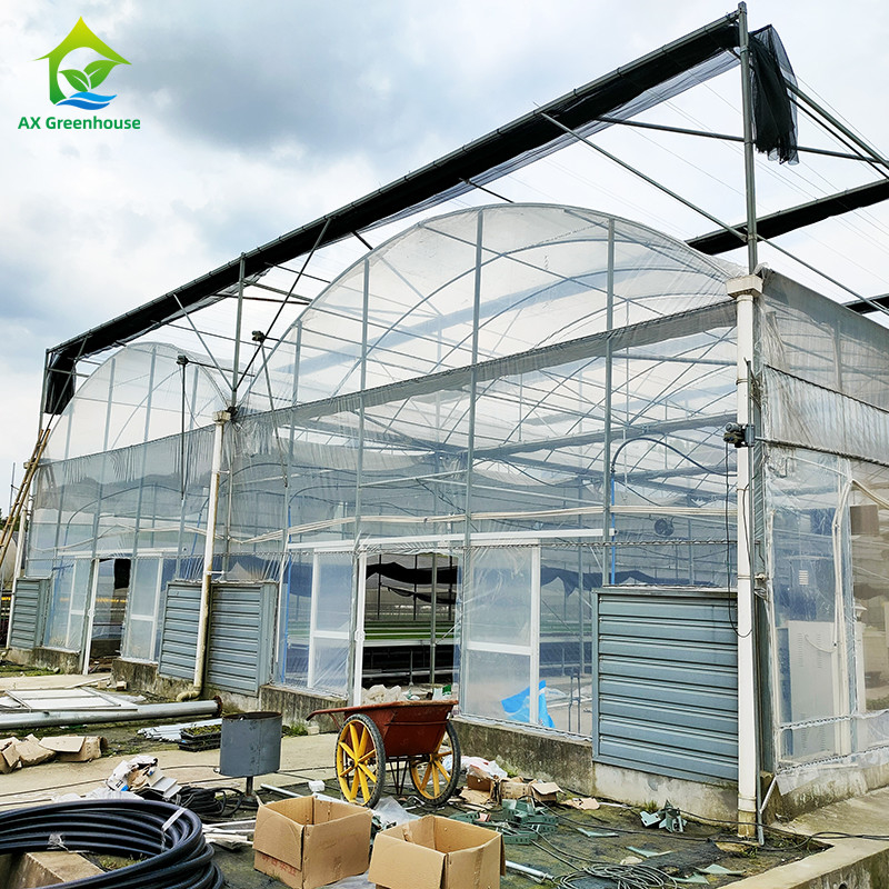Tăng khả năng chống tia cực tím 30x10m Nhà kính phim nhựa cho cà chua và rau quả với lớp phủ phim