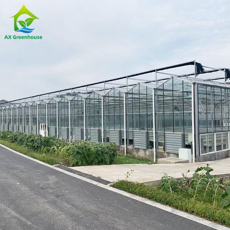 9.6m / 10.8m / 12m chiều rộng khung hợp kim nhôm thủy tinh nông nghiệp Venlo nhà kính đa dải với mái hình tam giác