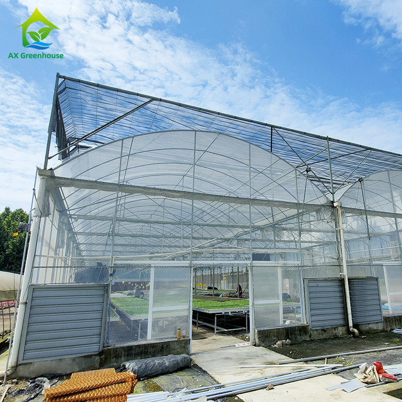 Chất liệu nhựa nhựa dài thọ đắm nóng thép galvanized đa dải nông nghiệp nhà kính cho trái cây