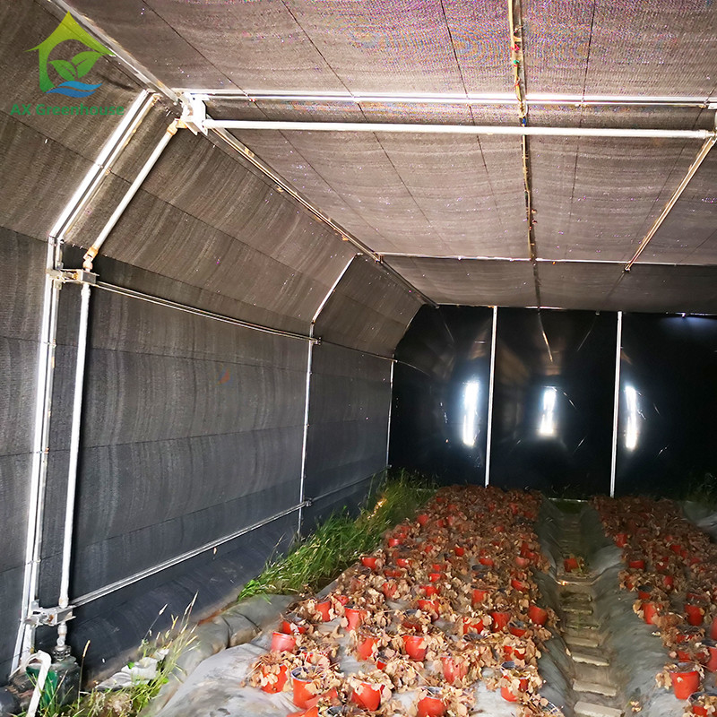 Nhà kính thiếu ánh sáng hoàn toàn với phim đen và khung ống thép kẽm nóng tùy chỉnh