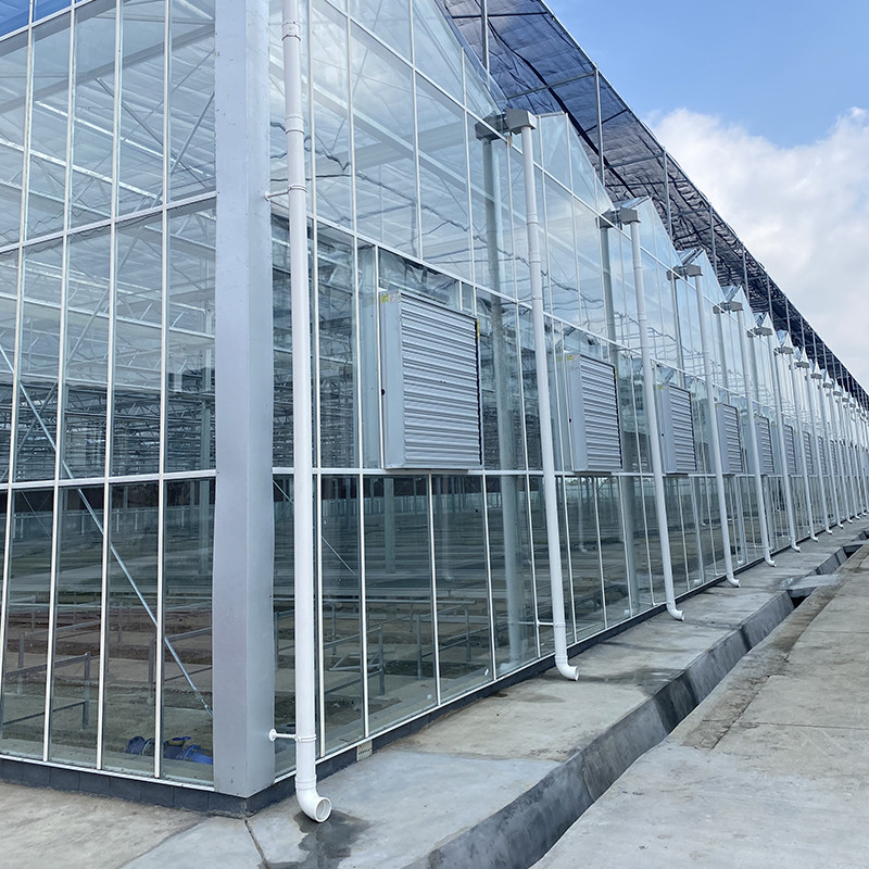 Cấu trúc thép kẽm nóng và vỏ thủy tinh tăng cường để thông gió tối ưu trong nhà kính thủy tinh nông nghiệp