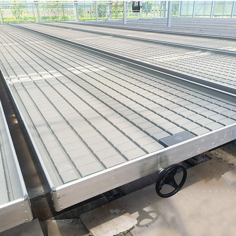 Nhà kính trong nhà Hydroponic Ebb And Flood Rolling Benches trồng hạt giống