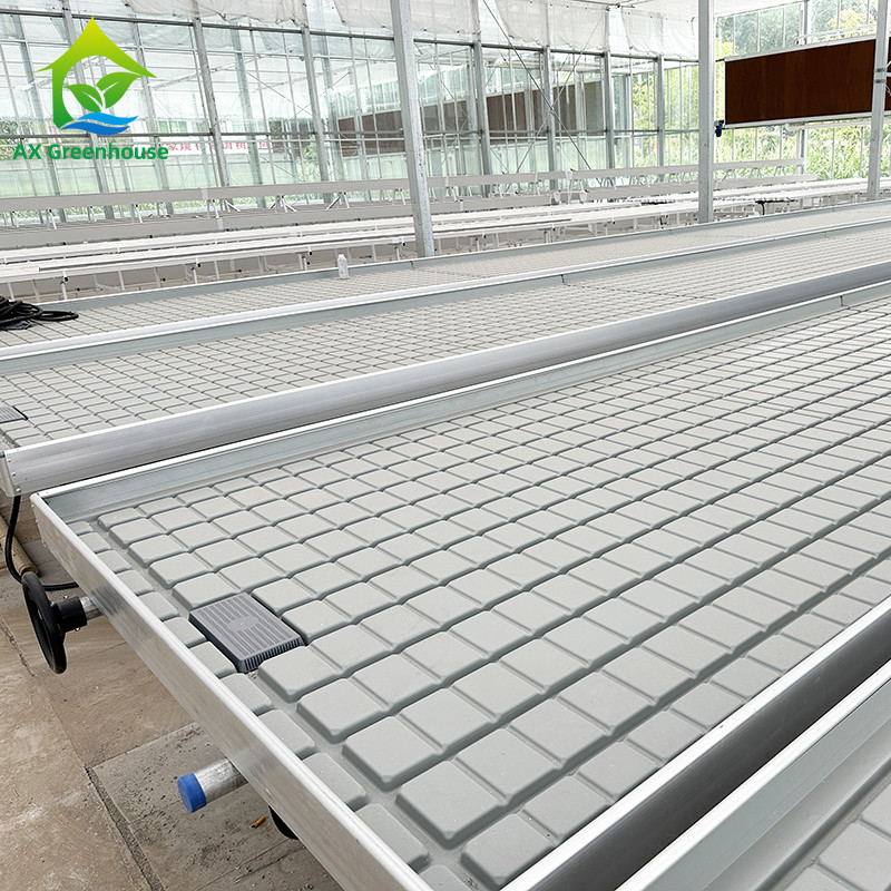 Nhà kính Nông nghiệp không đất thủy canh Ebb Flood Grow Table Seedbed Rolling Bench Cho rau diếp