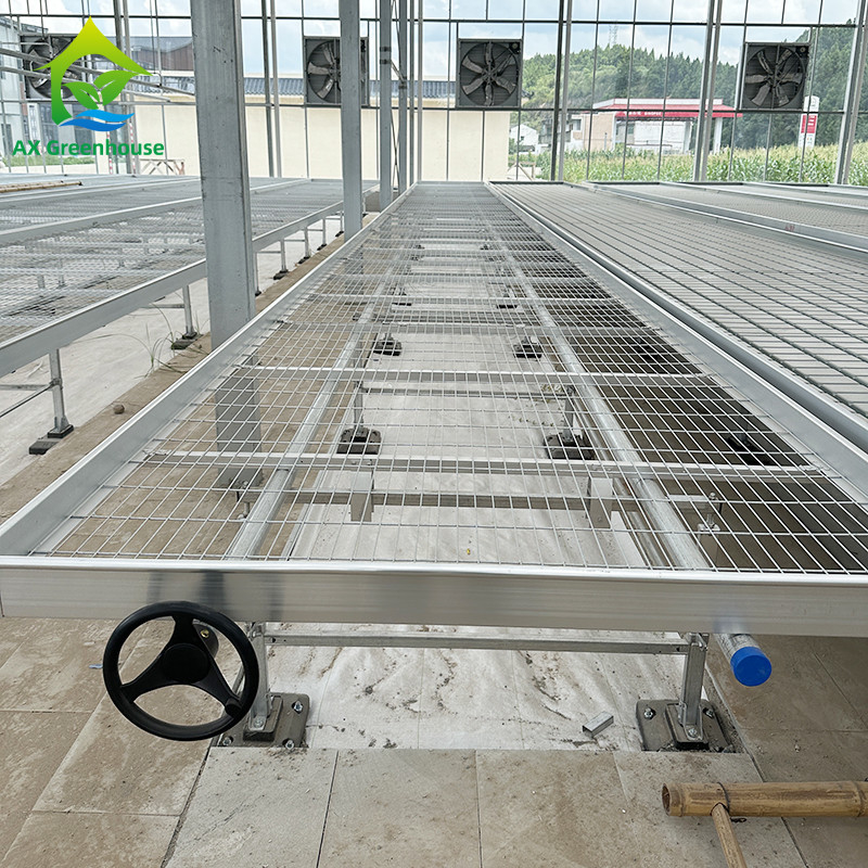 Nhà kính trong nhà Hydroponic Ebb And Flood Rolling Benches trồng hạt giống