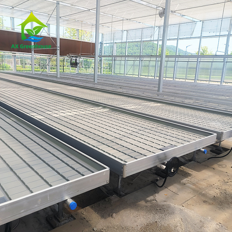 Nhà kính Rolling Benches Grow Table for Tomato Plant Seedling Ebb And Flow hệ thống tưới tiêu