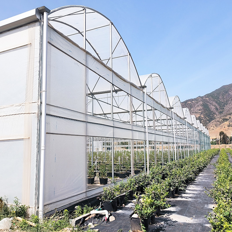 Tăng khả năng chống tia cực tím 30x10m Nhà kính phim nhựa cho cà chua và rau quả với lớp phủ phim