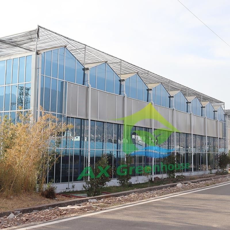 Kính nhà kính nông nghiệp loại Venlo Tấm cường lực Khung thép mạ kẽm để trồng dưa chuột