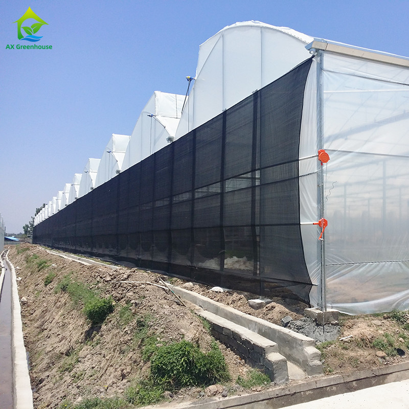 Cấu trúc thép nông nghiệp Poly đường hầm màu đen bóng râm nhiều khoảng cách nhà kính với hệ thống làm mát tùy chọn