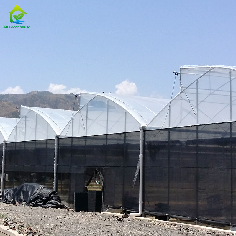 Cấu trúc thép nông nghiệp Poly đường hầm màu đen bóng râm nhiều khoảng cách nhà kính với hệ thống làm mát tùy chọn