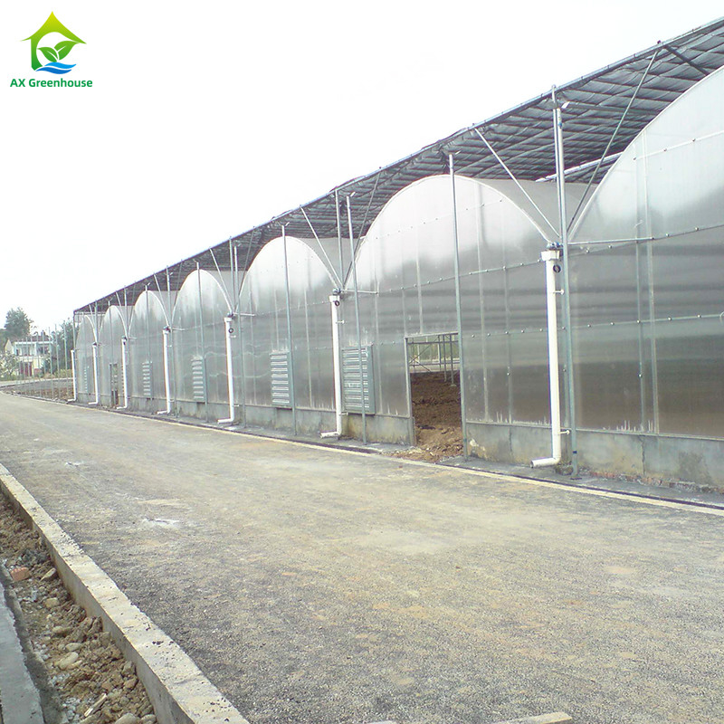 Thép cấu trúc chống tia cực tím phim Poly đường hầm đa dải nhà kính rau cho cà chua