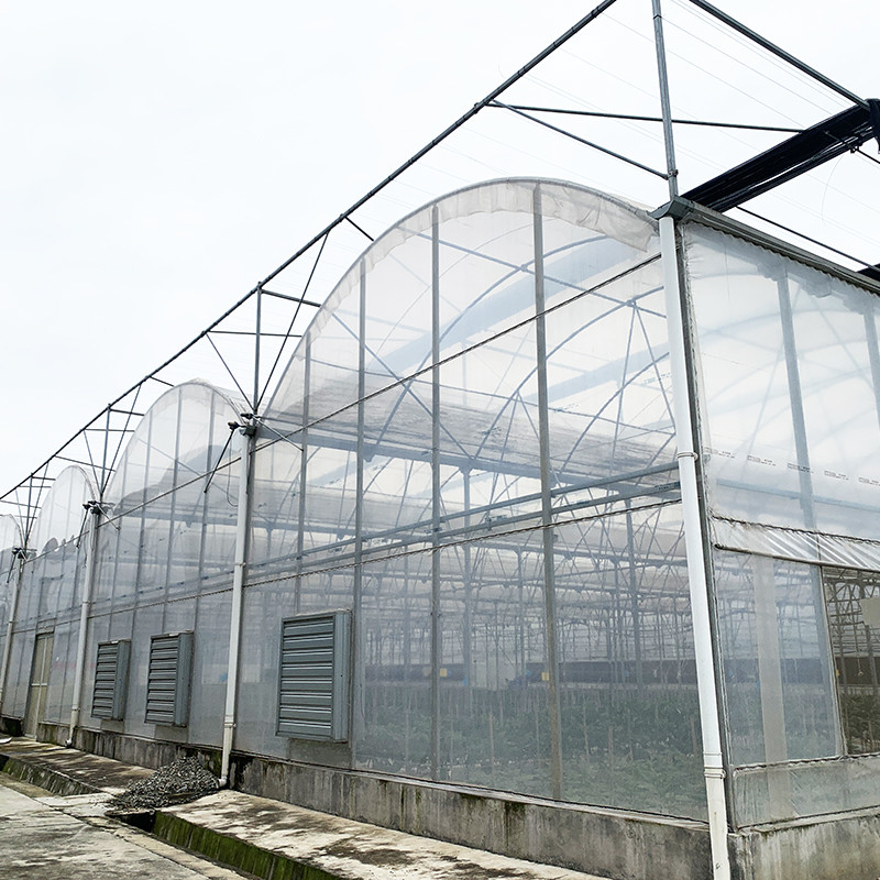 Thép cấu trúc chống tia cực tím phim Poly đường hầm đa dải nhà kính rau cho cà chua