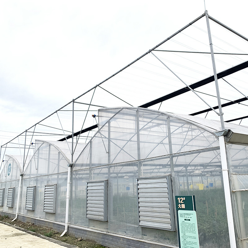 Cấu trúc thép Sawtooth Poly Film Low Tunnel Nông nghiệp Multi-span nhà kính cho sản xuất rau bền vững