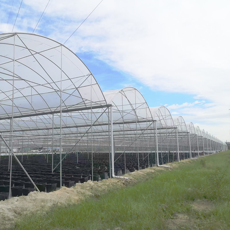 Tăng khả năng chống tia cực tím 30x10m Nhà kính phim nhựa cho cà chua và rau quả với lớp phủ phim
