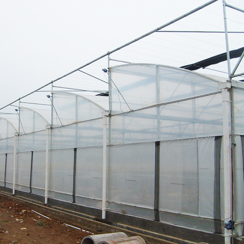 Cấu trúc thép Sawtooth Poly Film Low Tunnel Nông nghiệp Multi-span nhà kính cho sản xuất rau bền vững