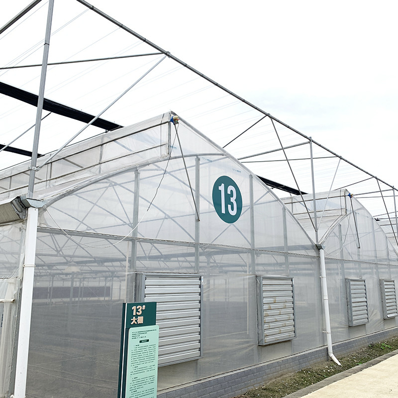 Cấu trúc thép Sawtooth Poly Film Low Tunnel Nông nghiệp Multi-span nhà kính cho sản xuất rau bền vững