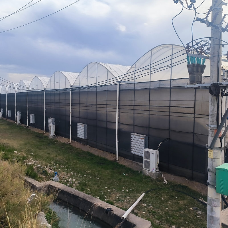 Cấu trúc thép nông nghiệp Poly đường hầm màu đen bóng râm nhiều khoảng cách nhà kính với hệ thống làm mát tùy chọn
