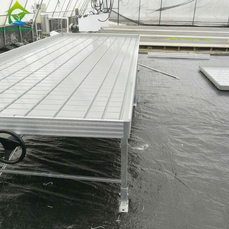 Nhà kính Rolling Benches Grow Table for Tomato Plant Seedling Ebb And Flow hệ thống tưới tiêu