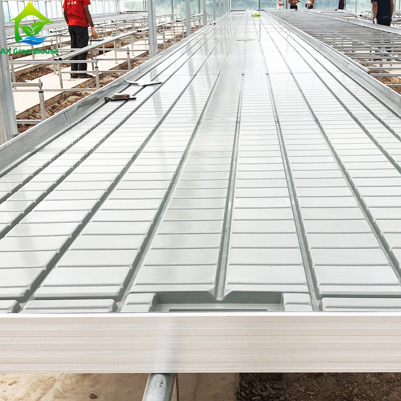 Thường kích thước Rolling Bench Bàn trồng hạt cho cây cà chua Grow Table Ebb Flow Nông nghiệp trong nhà