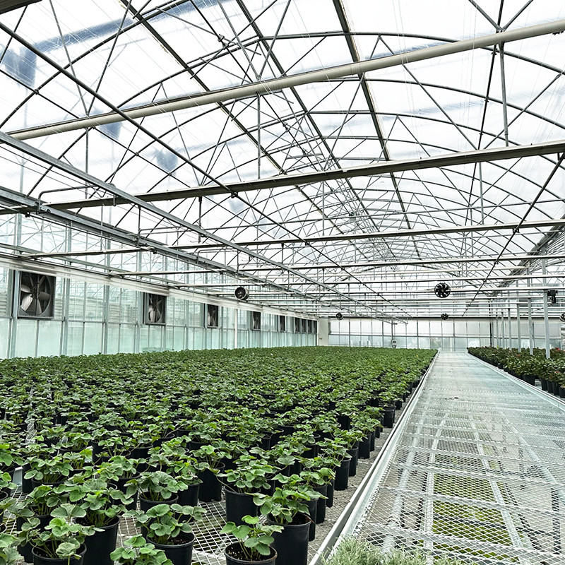 Thép cấu trúc chống tia cực tím phim Poly đường hầm đa dải nhà kính rau cho cà chua