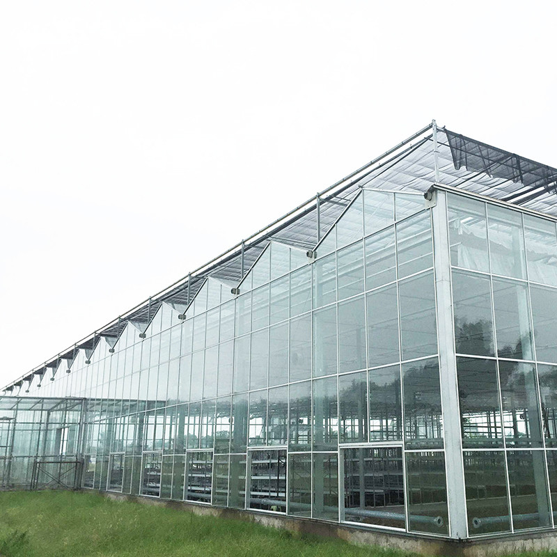 9.6m / 10.8m / 12m chiều rộng khung hợp kim nhôm thủy tinh nông nghiệp Venlo nhà kính đa dải với mái hình tam giác