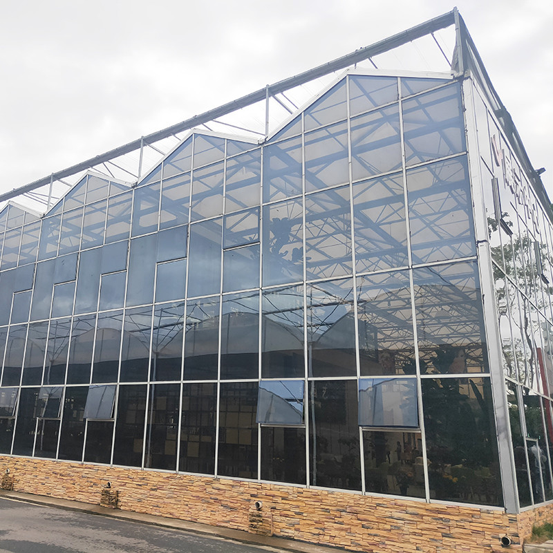 Nhà kính cà chua thủy tinh được đun sôi nóng bằng thép galvanized Multi-Span Venlo cho điều kiện phát triển tối ưu
