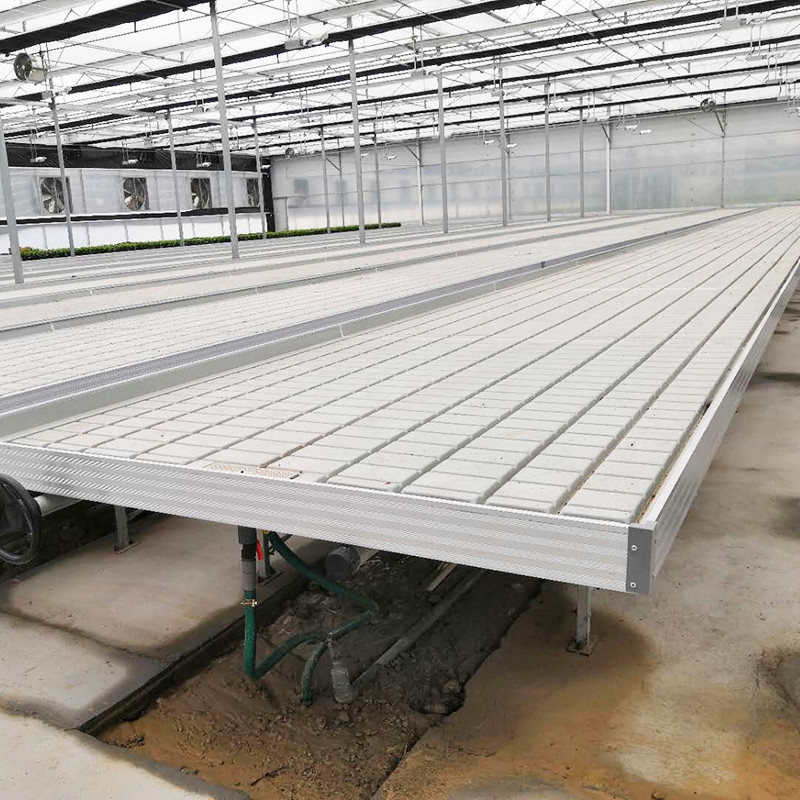 Ebb And Flow 4FT * 8FT dọc Hydroponic Rolling Bench di động Thăng trưởng Bàn với cột
