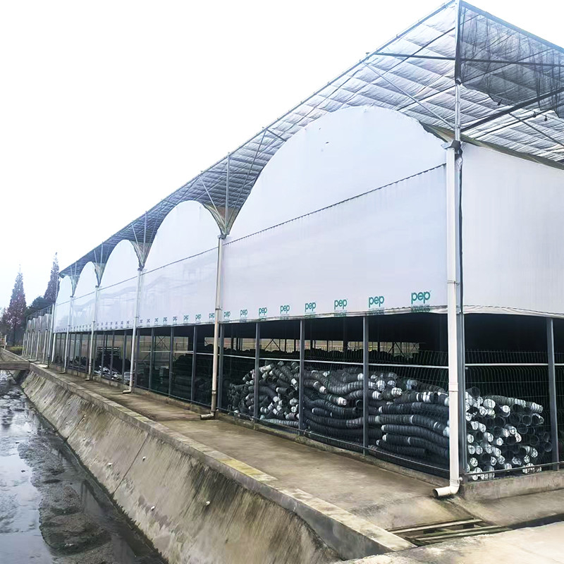 Hot Galvanized Steel Pipe Nursery Multi-span Panda Film Blackout System Nấm Nhà kính nhiệt đới