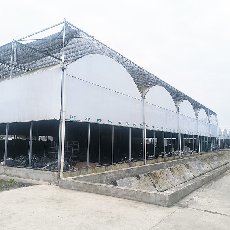 Hot Galvanized Steel Pipe Nursery Multi-span Panda Film Blackout System Nấm Nhà kính nhiệt đới