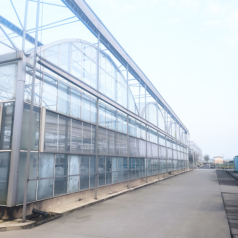 Công nghiệp Nông nghiệp sang trọng Venlo Nhà kính nóng nhà kính thảo mộc với cấu trúc ổn định và hệ thống sưởi ấm