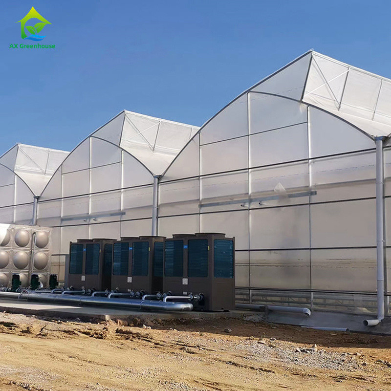 Plastic UV Film Poly Tunnel nông nghiệp Sawtooth Multi-span Custom nhà kính để bán