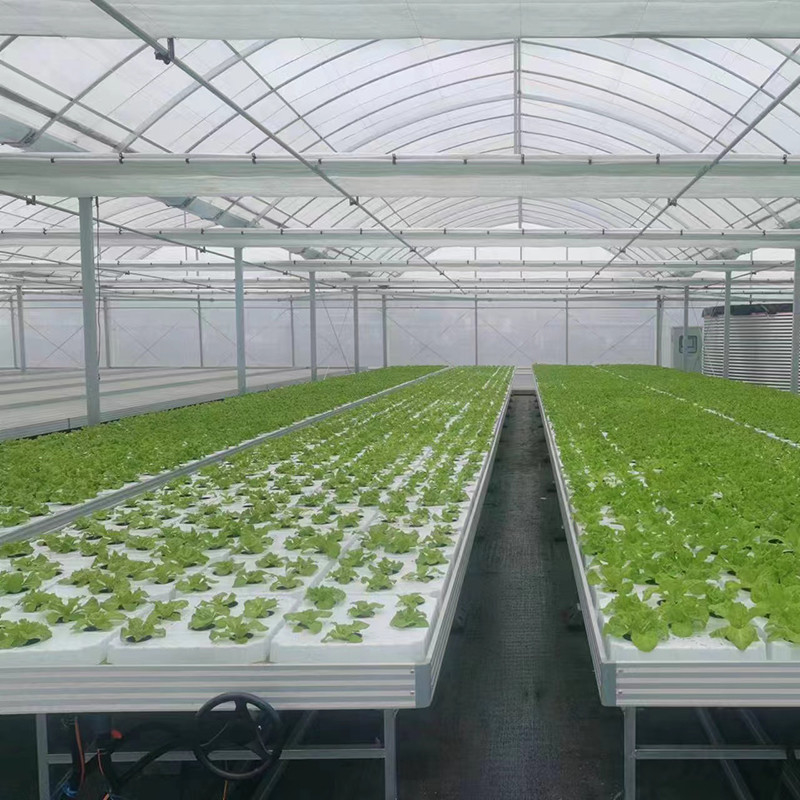 Cây trồng vườn tùy chỉnh kích thước Nhà kính Grow Table Hydroponic Ebb Flood Rolling Bench