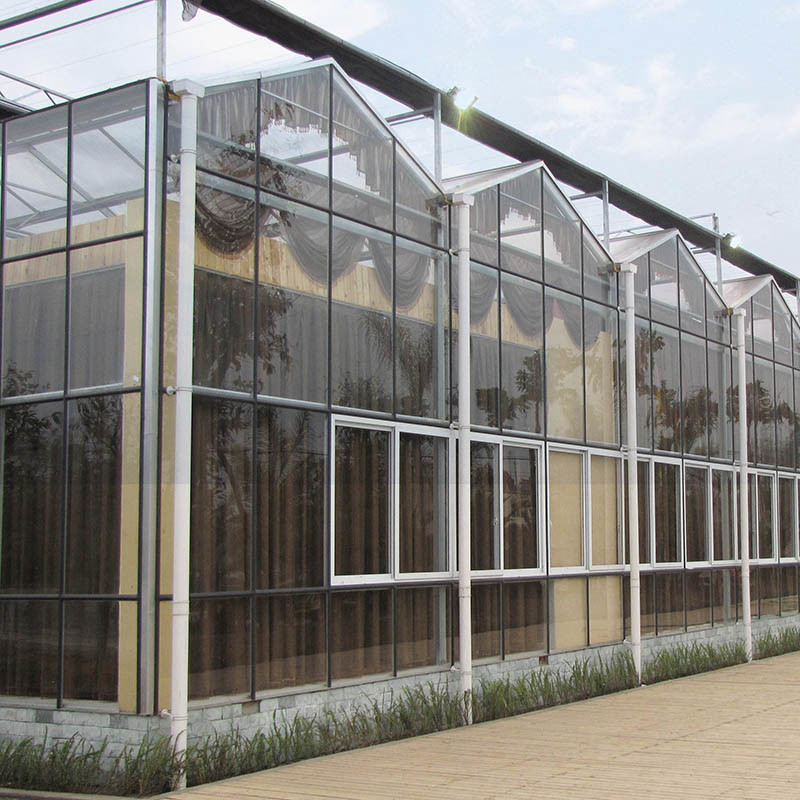 Nhà kính cà chua thủy tinh được đun sôi nóng bằng thép galvanized Multi-Span Venlo cho điều kiện phát triển tối ưu
