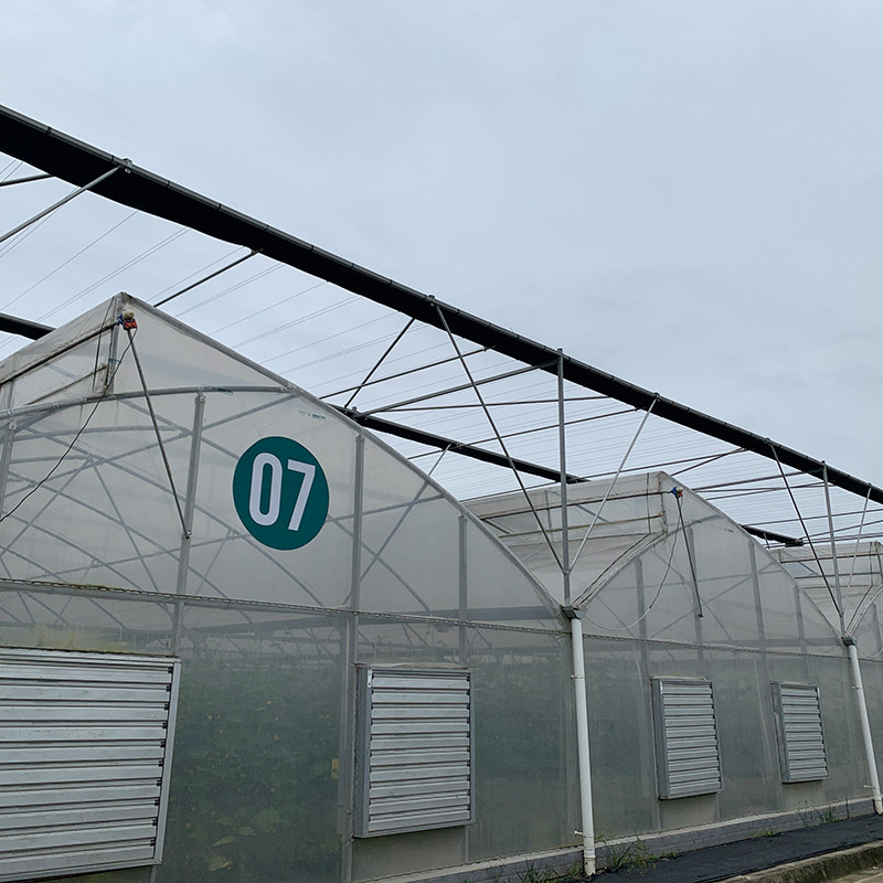 Plastic UV Film Poly Tunnel nông nghiệp Sawtooth Multi-span Custom nhà kính để bán