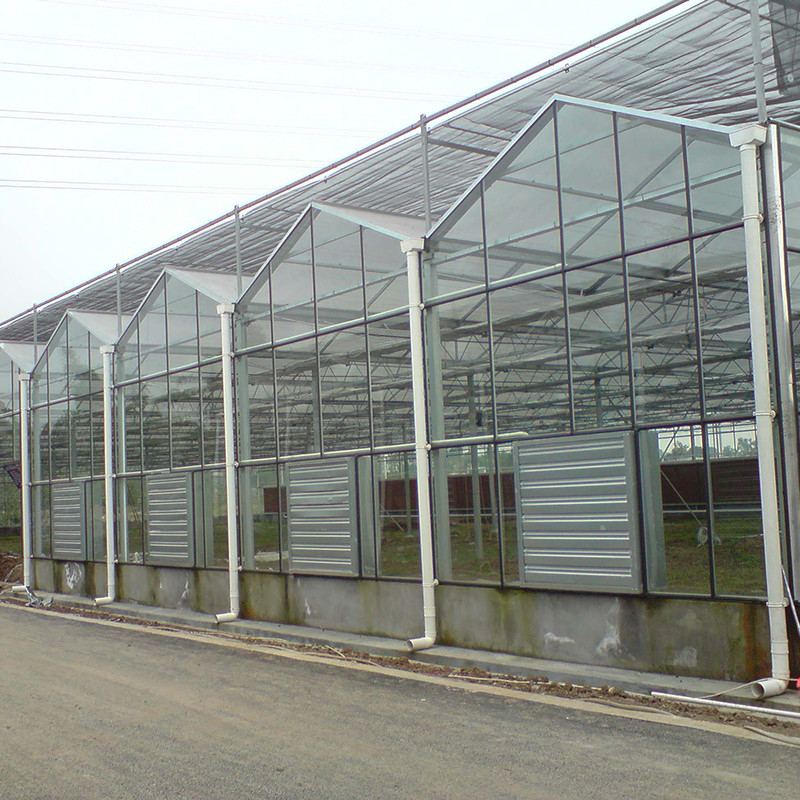 Hot Dip Galvanized Steel Structure Tự động thông gió thủy tinh nông nghiệp Venlo Multi-span Tomato Seedling Greenhouse