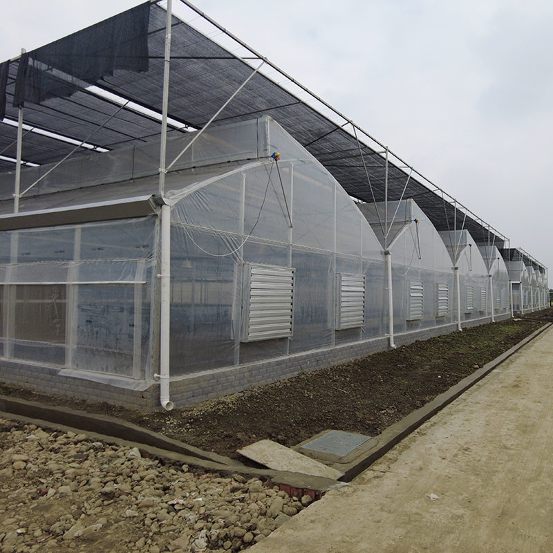 Plastic UV Film Poly Tunnel nông nghiệp Sawtooth Multi-span Custom nhà kính để bán