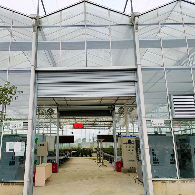 Hot Dip Galvanized Steel Structure Tự động thông gió thủy tinh nông nghiệp Venlo Multi-span Tomato Seedling Greenhouse