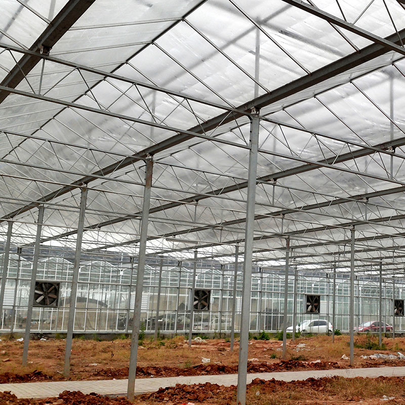 Ventilation tự động thủy tinh nông nghiệp Venlo đường hầm lớn nhà kính cà chua với hệ thống làm mát pad và hệ thống quạt