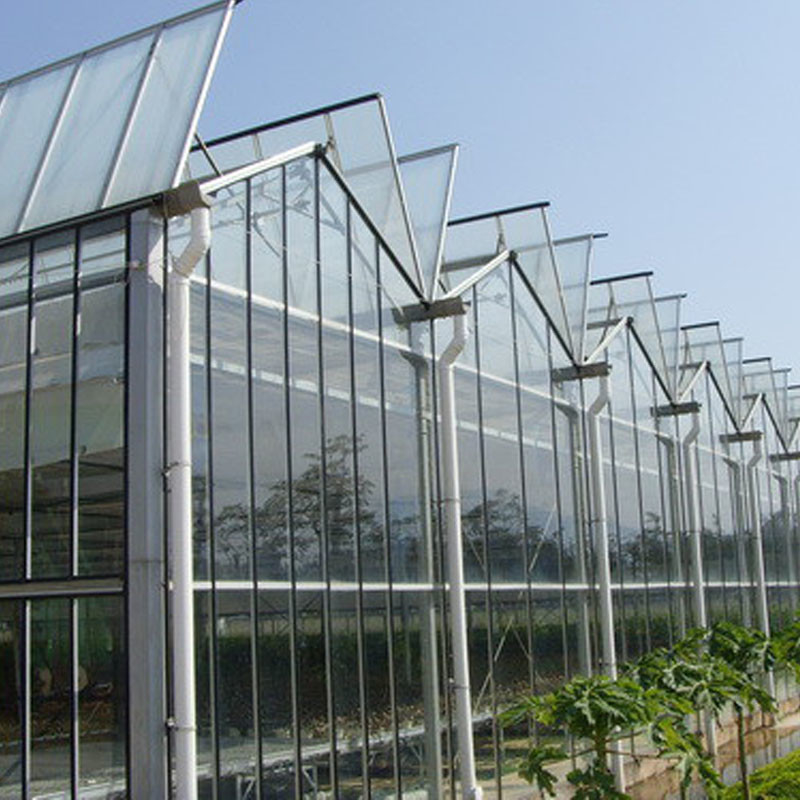 Ventilation tự động thủy tinh nông nghiệp Venlo đường hầm lớn nhà kính cà chua với hệ thống làm mát pad và hệ thống quạt