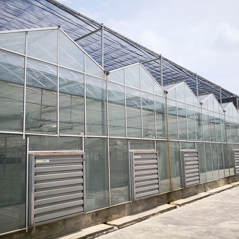Ventilation tự động thủy tinh nông nghiệp Venlo đường hầm lớn nhà kính cà chua với hệ thống làm mát pad và hệ thống quạt