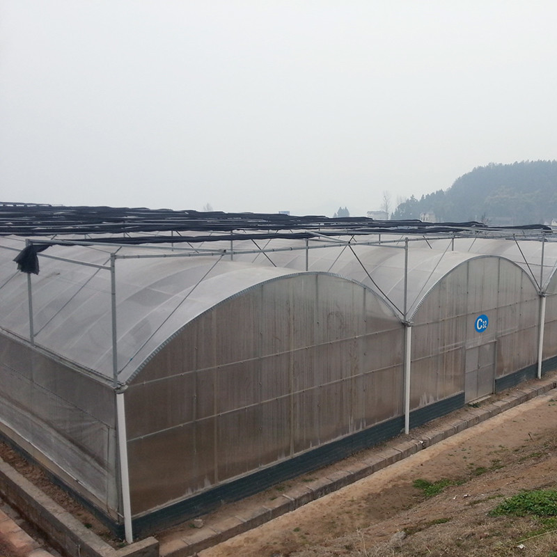 Nhà kính vòm polyetylen đáng tin cậy Khung thép chống gỉ Màng bền cho Cà chua