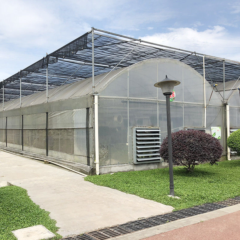 Nhà kính đa nhịp polytunnel thương mại Thiết kế mô-đun Quy mô lớn Trồng trọt Thép mạ kẽm Màng UV
