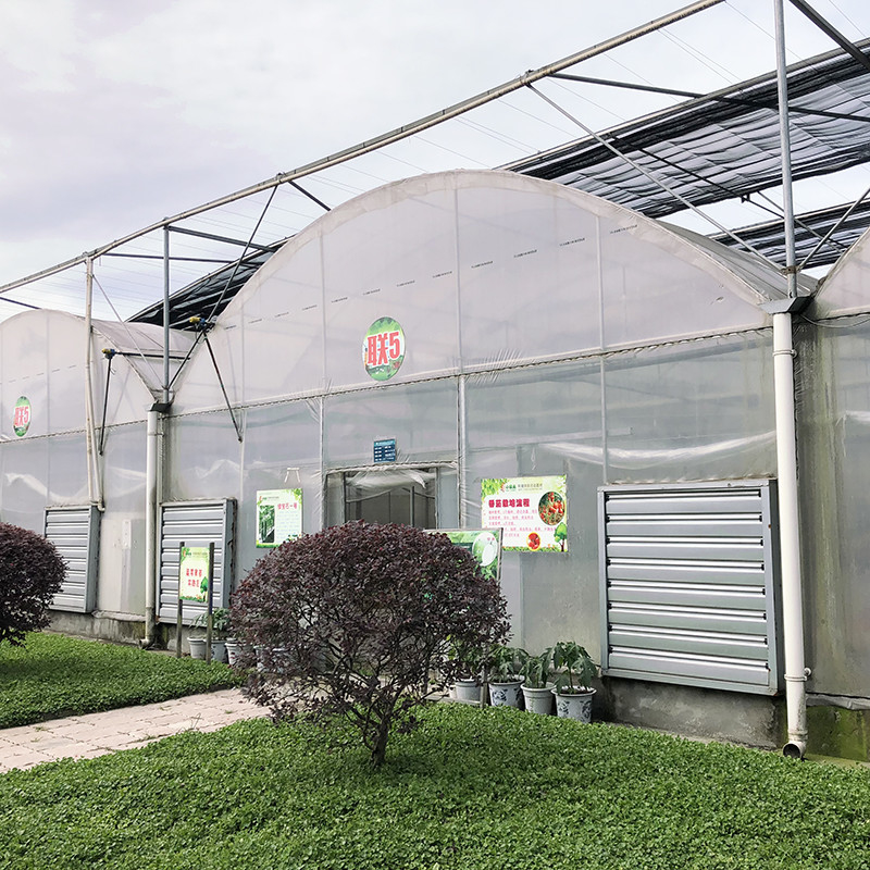 Cấu trúc ổn định Công nghiệp nhựa PE phim đa dải nông nghiệp nhà hoa Poly đường hầm nhà kính