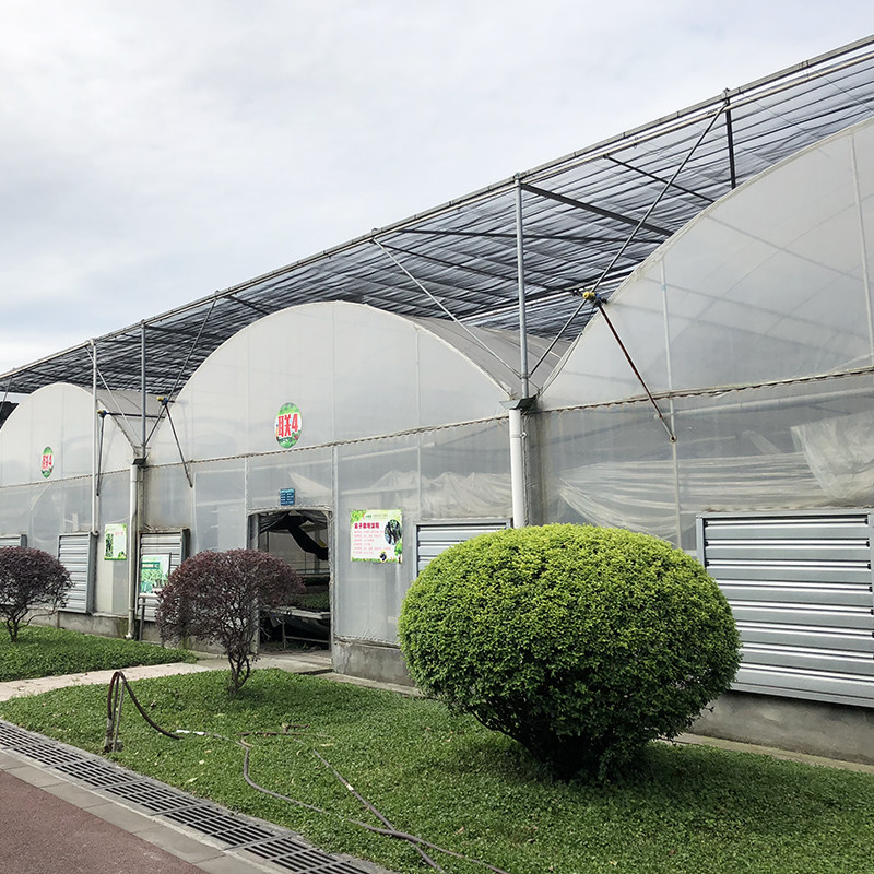 Cấu trúc ổn định Công nghiệp nhựa PE phim đa dải nông nghiệp nhà hoa Poly đường hầm nhà kính