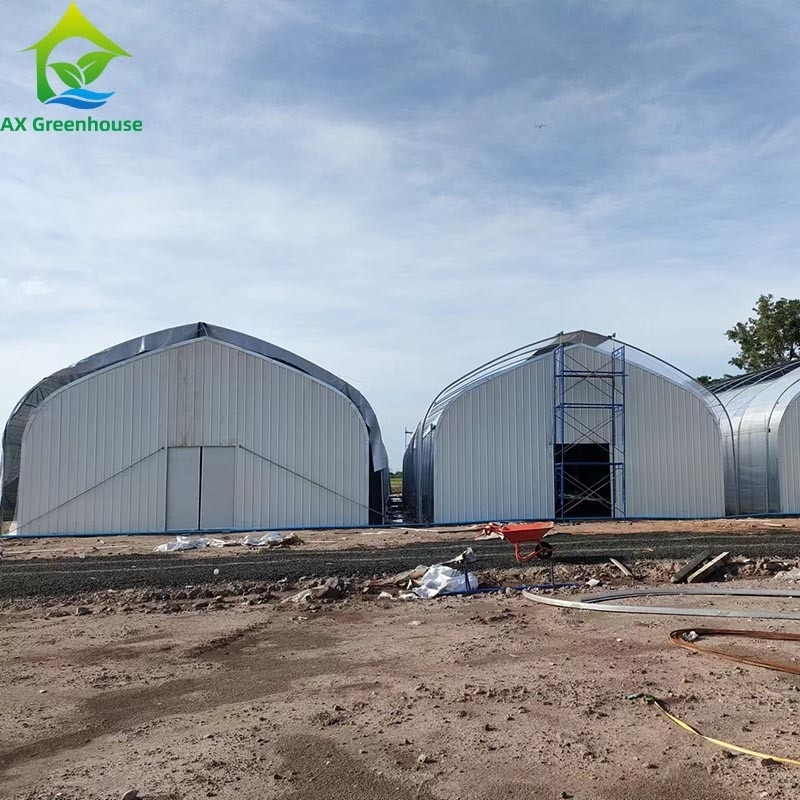 Ưu tiên nông nghiệp trồng trọt ánh sáng mất điện bóng tối Single-span phim nhà kính lều cho nông nghiệp thương mại
