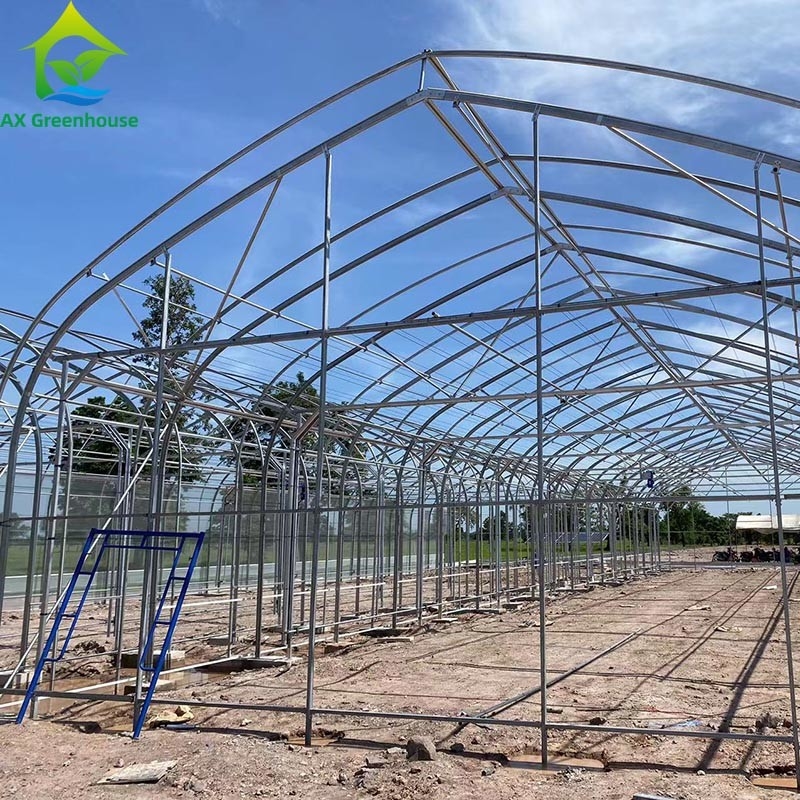 Ưu tiên nông nghiệp trồng trọt ánh sáng mất điện bóng tối Single-span phim nhà kính lều cho nông nghiệp thương mại