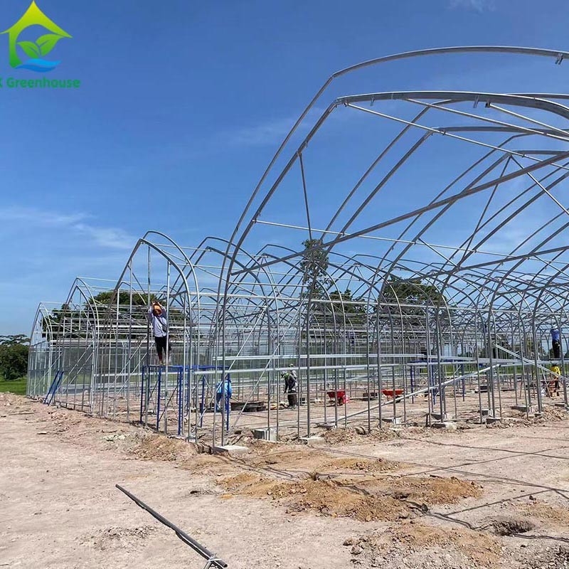 Ưu tiên nông nghiệp trồng trọt ánh sáng mất điện bóng tối Single-span phim nhà kính lều cho nông nghiệp thương mại
