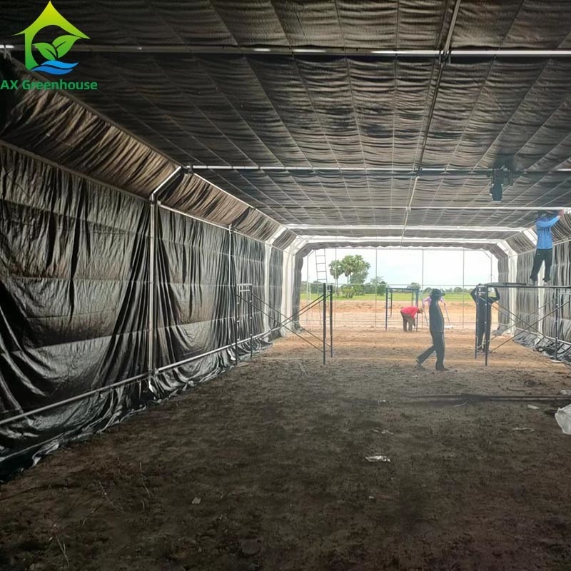 Ưu tiên nông nghiệp trồng trọt ánh sáng mất điện bóng tối Single-span phim nhà kính lều cho nông nghiệp thương mại