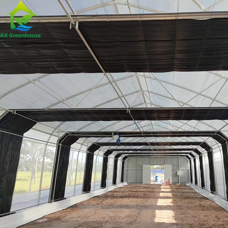Ưu tiên nông nghiệp trồng trọt ánh sáng mất điện bóng tối Single-span phim nhà kính lều cho nông nghiệp thương mại